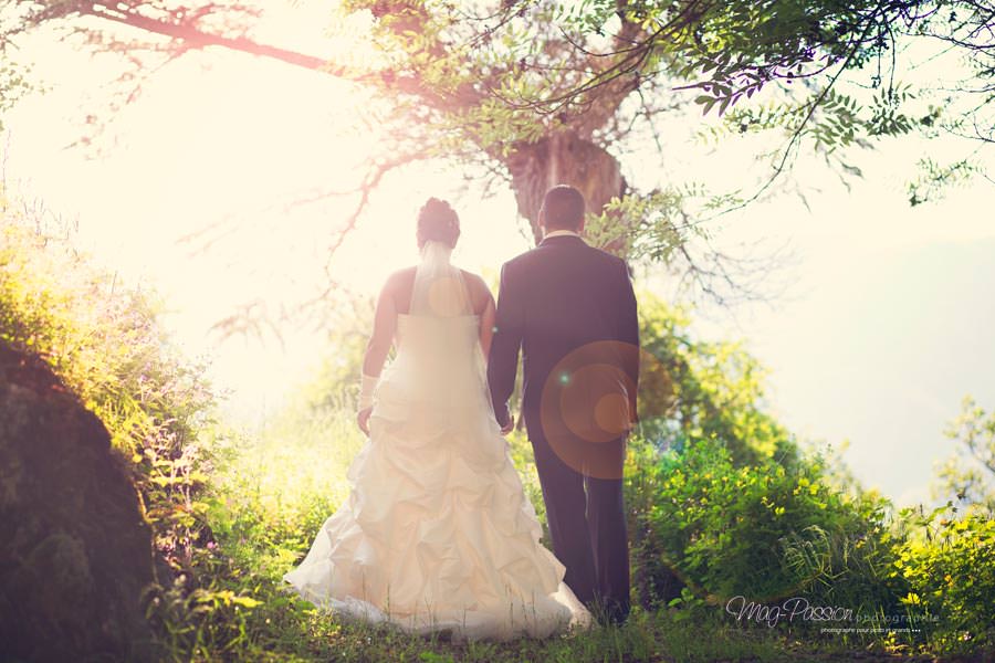 EC3C3956-as-Smart-Object-1